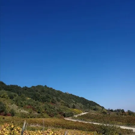 Bed & Breakfast Ca' Del Passero Vigoleno