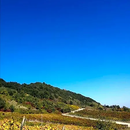 Ca' Del Passero 3* Vigoleno