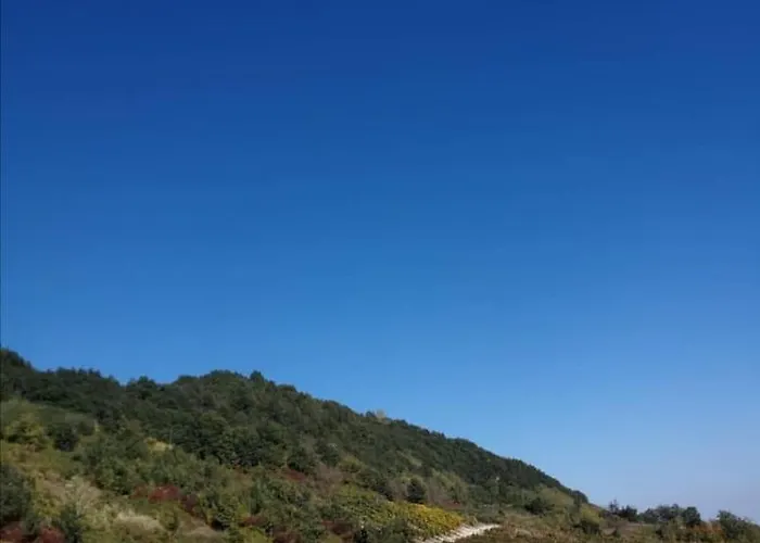 فندق مبيت وإفطار Ca' Del Passero Vigoleno